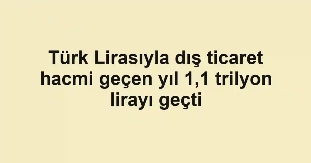 Türk Lirasıyla dış ticaret hacmi geçen yıl 1,1 trilyon lirayı geçti