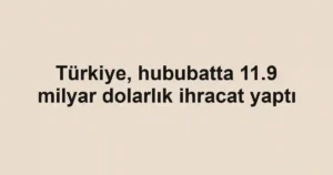 Türkiye, hububatta 11.9 milyar dolarlık ihracat yaptı