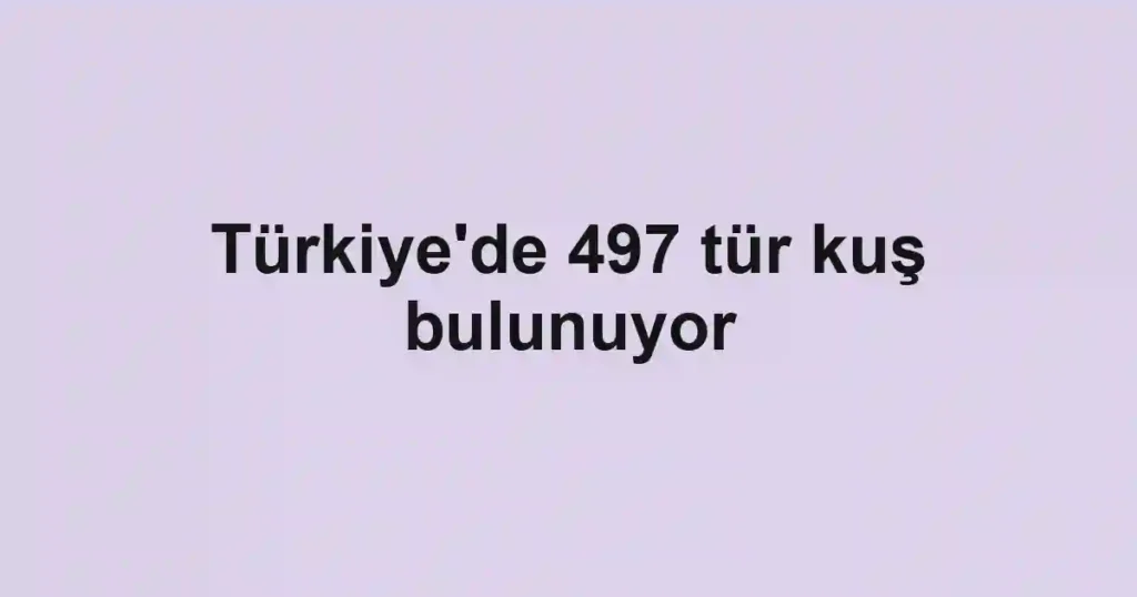 Türkiye'de 497 tür kuş bulunuyor