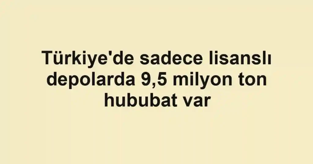 Türkiye'de sadece lisanslı depolarda 9,5 milyon ton hububat var