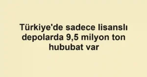 Türkiye'de sadece lisanslı depolarda 9,5 milyon ton hububat var