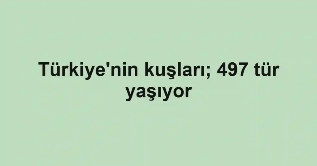 Türkiye'nin kuşları; 497 tür yaşıyor