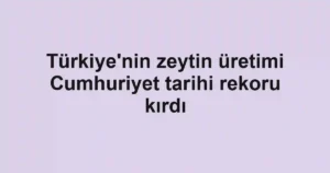 Türkiye'nin zeytin üretimi Cumhuriyet tarihi rekoru kırdı