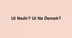 Ut Nedir? Ut Ne Demek?