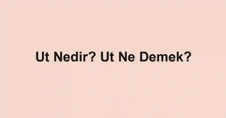 Ut Nedir? Ut Ne Demek?
