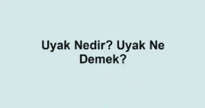 Uyak Nedir? Uyak Ne Demek?