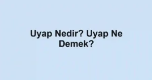 Uyap Nedir? Uyap Ne Demek?