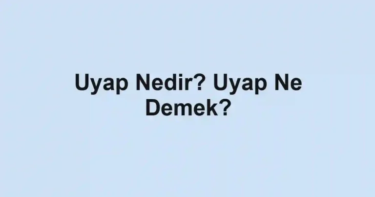 Uyap Nedir? Uyap Ne Demek?