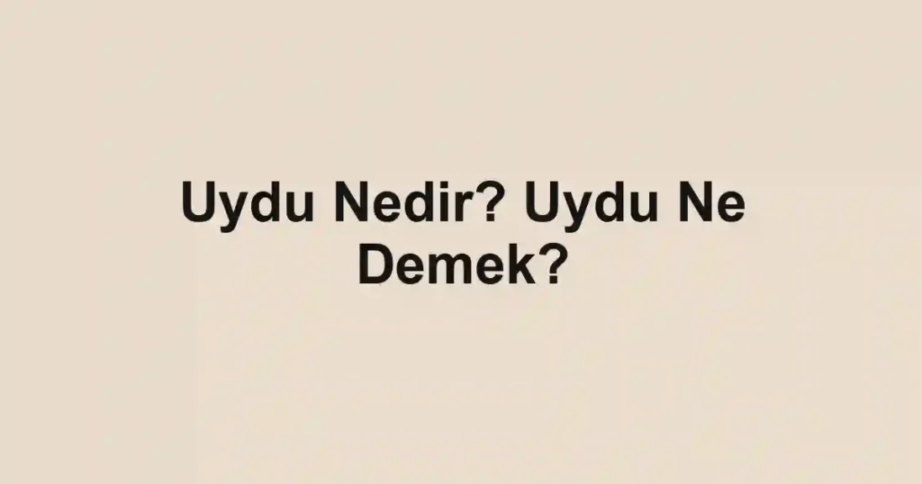 Uydu Nedir? Uydu Ne Demek?