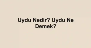 Uydu Nedir? Uydu Ne Demek?