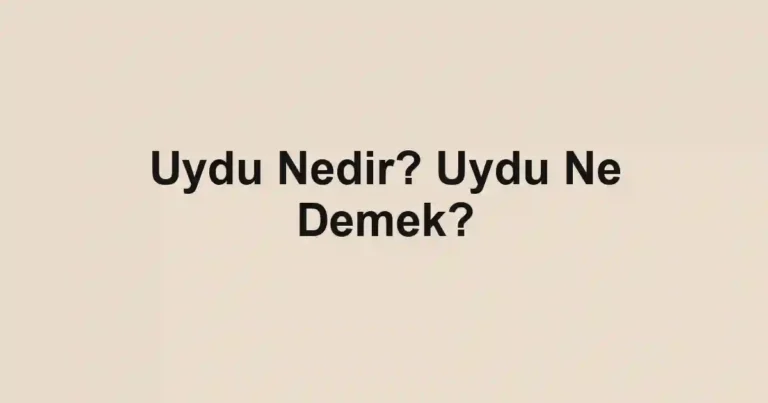 Uydu Nedir? Uydu Ne Demek?