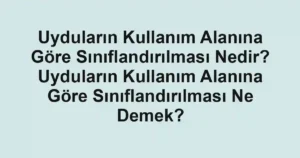 Uyduların Kullanım Alanına Göre Sınıflandırılması Nedir? Uyduların Kullanım Alanına Göre Sınıflandırılması Ne Demek?