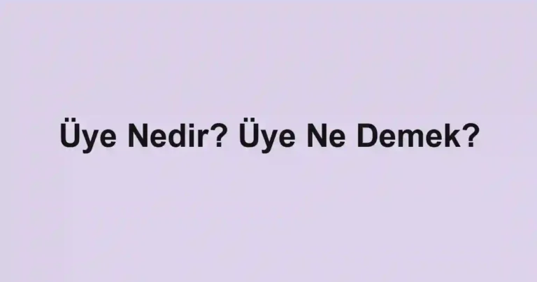 Üye Nedir? Üye Ne Demek?
