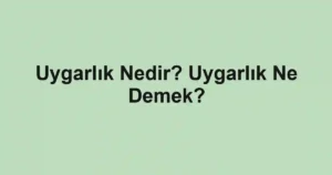 Uygarlık Nedir? Uygarlık Ne Demek?