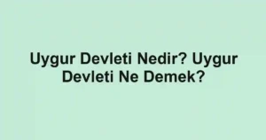 Uygur Devleti Nedir? Uygur Devleti Ne Demek?