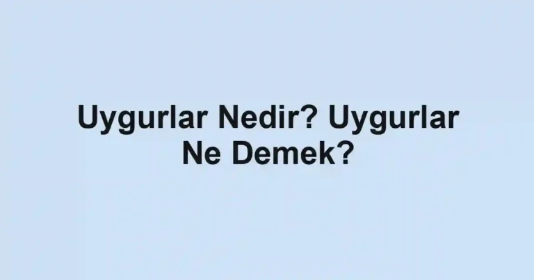 Uygurlar Nedir? Uygurlar Ne Demek?