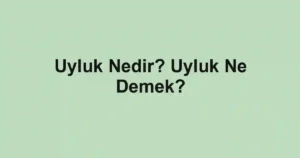 Uyluk Nedir? Uyluk Ne Demek?