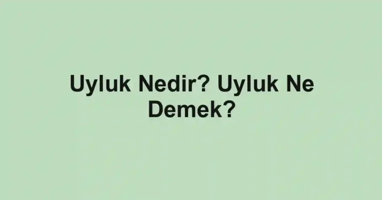 Uyluk Nedir? Uyluk Ne Demek?