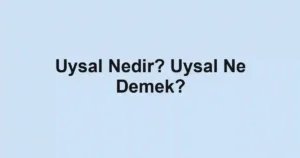 Uysal Nedir? Uysal Ne Demek?