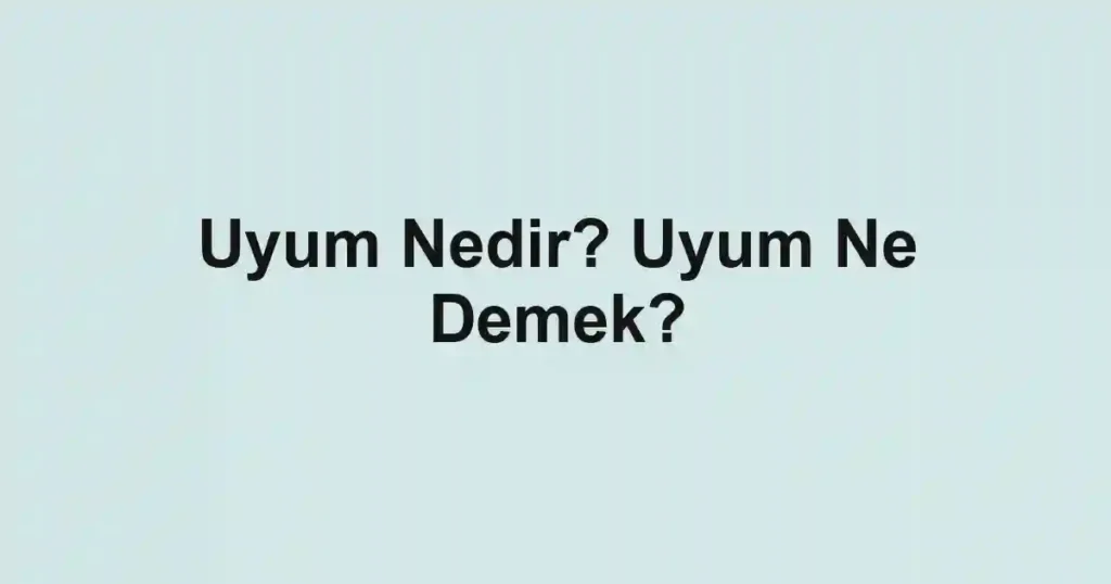 Uyum Nedir? Uyum Ne Demek?