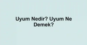 Uyum Nedir? Uyum Ne Demek?