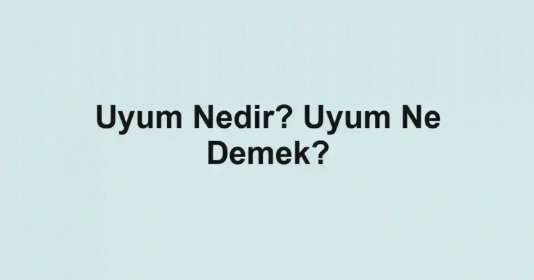 Uyum Nedir? Uyum Ne Demek?