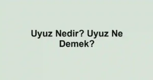 Uyuz Nedir? Uyuz Ne Demek?