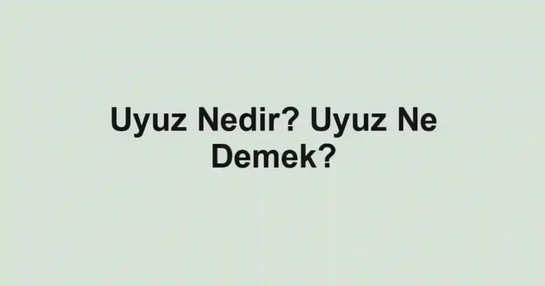 Uyuz Nedir? Uyuz Ne Demek?