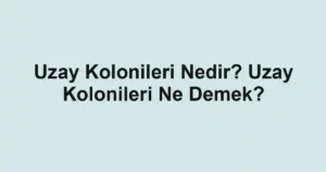 Uzay Kolonileri Nedir? Uzay Kolonileri Ne Demek?