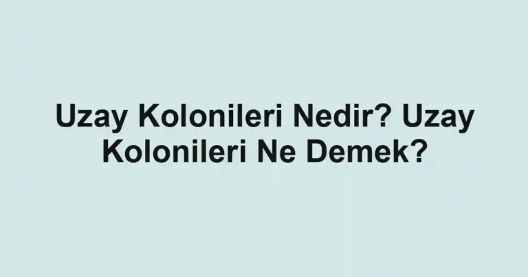 Uzay Kolonileri Nedir? Uzay Kolonileri Ne Demek?