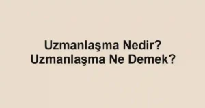 Uzmanlaşma Nedir? Uzmanlaşma Ne Demek?