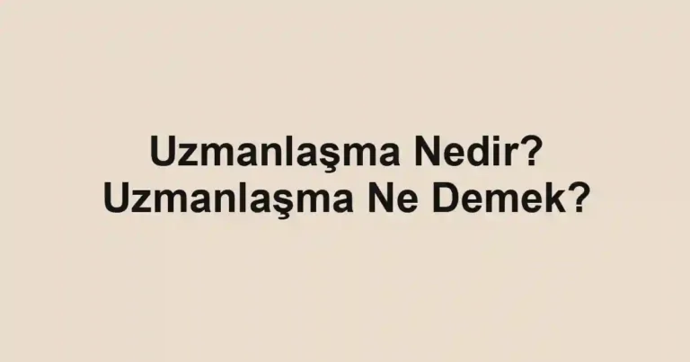 Uzmanlaşma Nedir? Uzmanlaşma Ne Demek?