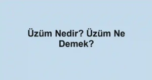 Üzüm Nedir? Üzüm Ne Demek?