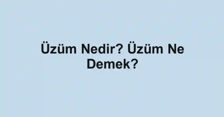 Üzüm Nedir? Üzüm Ne Demek?