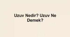 Uzuv Nedir? Uzuv Ne Demek?