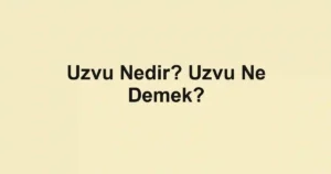 Uzvu Nedir? Uzvu Ne Demek?