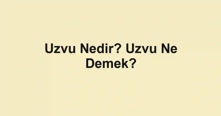 Uzvu Nedir? Uzvu Ne Demek?