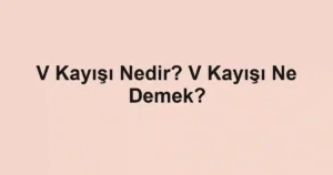V Kayışı Nedir? V Kayışı Ne Demek?