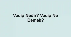 Vacip Nedir? Vacip Ne Demek?
