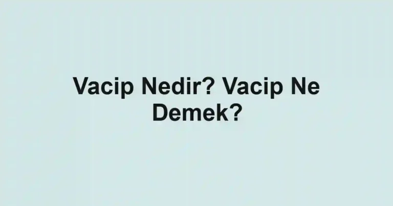 Vacip Nedir? Vacip Ne Demek?