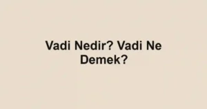 Vadi Nedir? Vadi Ne Demek?