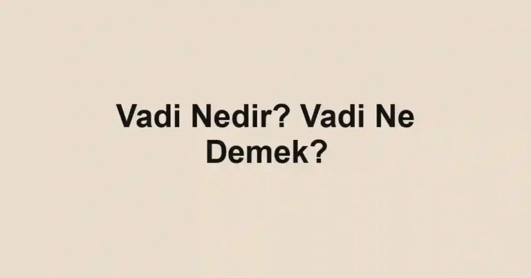 Vadi Nedir? Vadi Ne Demek?