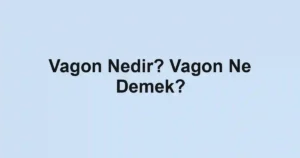 Vagon Nedir? Vagon Ne Demek?