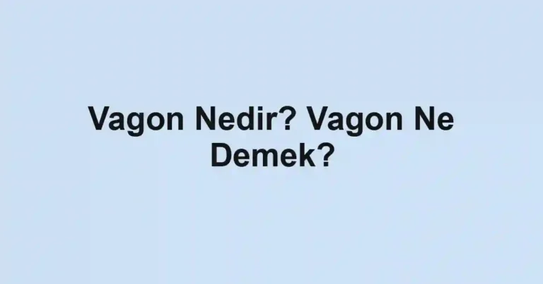 Vagon Nedir? Vagon Ne Demek?