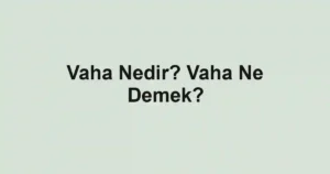 Vaha Nedir? Vaha Ne Demek?