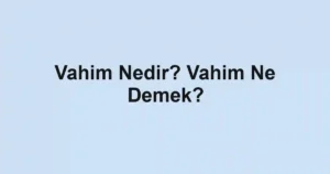 Vahim Nedir? Vahim Ne Demek?