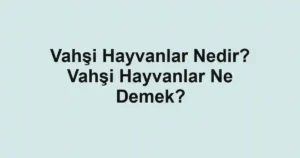 Vahşi Hayvanlar Nedir? Vahşi Hayvanlar Ne Demek?