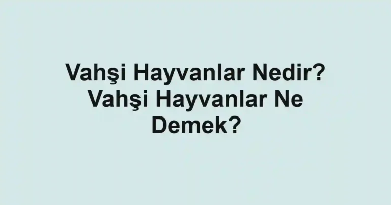 Vahşi Hayvanlar Nedir? Vahşi Hayvanlar Ne Demek?