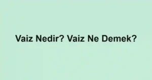 Vaiz Nedir? Vaiz Ne Demek?
