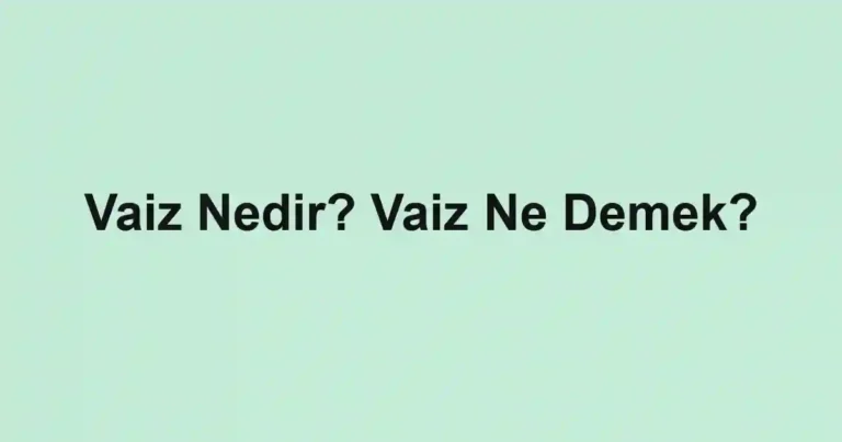 Vaiz Nedir? Vaiz Ne Demek?